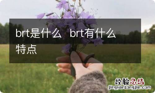 brt是什么brt有什么特点