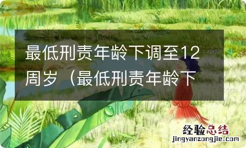 最低刑责年龄下调至12周岁1 最低刑责年龄下调至12周岁