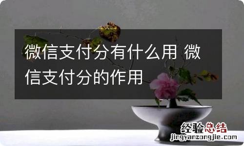 微信支付分有什么用 微信支付分的作用