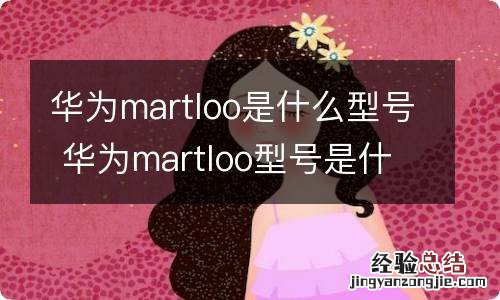 华为martloo是什么型号 华为martloo型号是什么