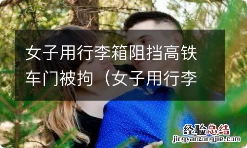 女子用行李箱阻挡高铁车门,被拘5日 女子用行李箱阻挡高铁车门被拘