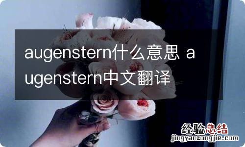 augenstern什么意思 augenstern中文翻译