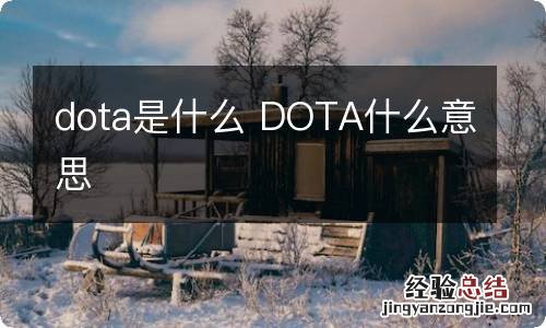 dota是什么 DOTA什么意思