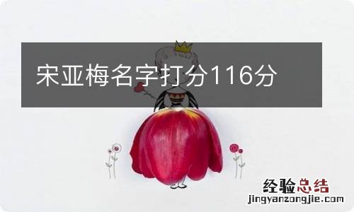 宋亚梅名字打分116分