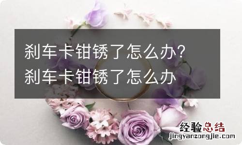 刹车卡钳锈了怎么办? 刹车卡钳锈了怎么办