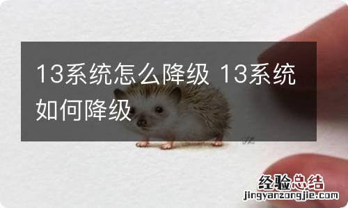 13系统怎么降级 13系统如何降级