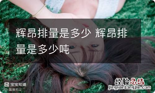辉昂排量是多少 辉昂排量是多少吨