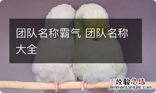 团队名称霸气 团队名称大全