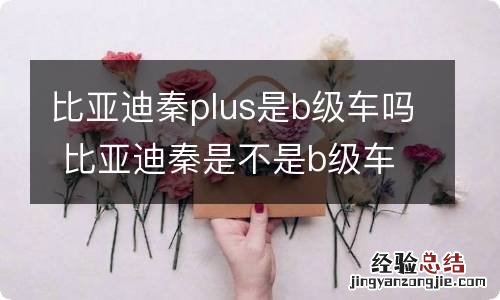 比亚迪秦plus是b级车吗 比亚迪秦是不是b级车