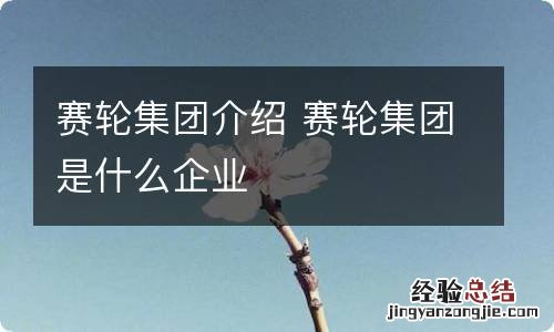 赛轮集团介绍 赛轮集团是什么企业