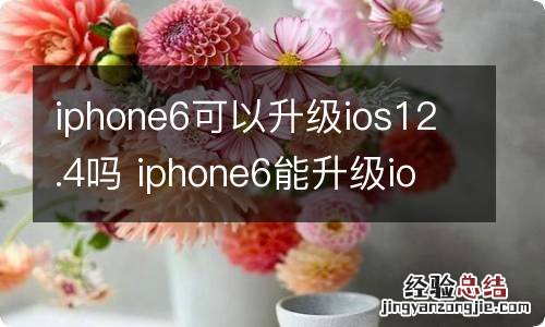 iphone6可以升级ios12.4吗 iphone6能升级ios12.4吗