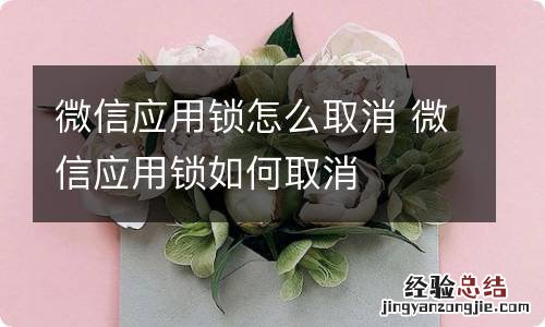 微信应用锁怎么取消 微信应用锁如何取消