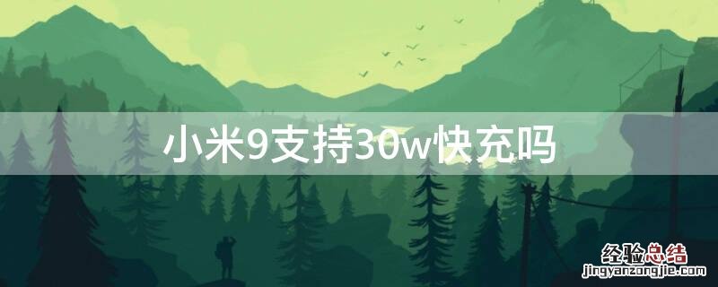 小米9支持30w快充吗 小米9能不能用40w快充