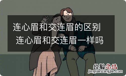 连心眉和交连眉的区别 连心眉和交连眉一样吗