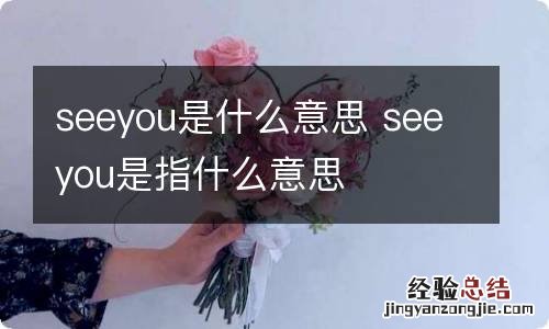 seeyou是什么意思 seeyou是指什么意思