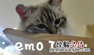 emo是啥牌子 emo是啥