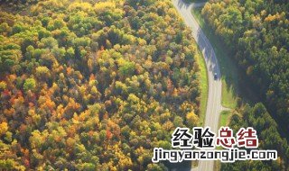 去森林怕迷路带什么 去森林怕迷路怎么办