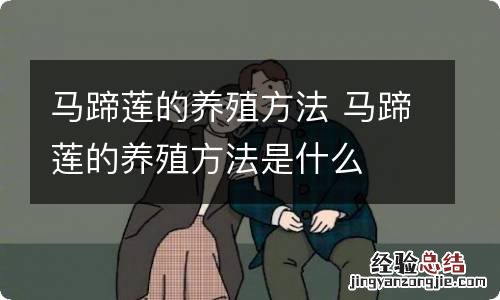 马蹄莲的养殖方法 马蹄莲的养殖方法是什么