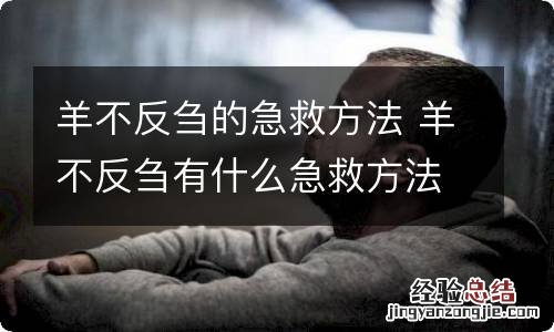 羊不反刍的急救方法 羊不反刍有什么急救方法