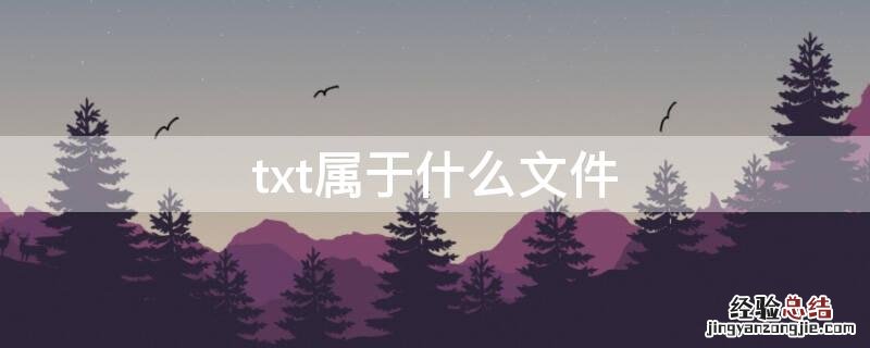 txt属于什么文件