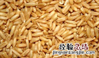 原粮的意思 原粮是指什么