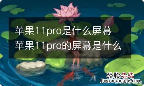 苹果11pro是什么屏幕 苹果11pro的屏幕是什么