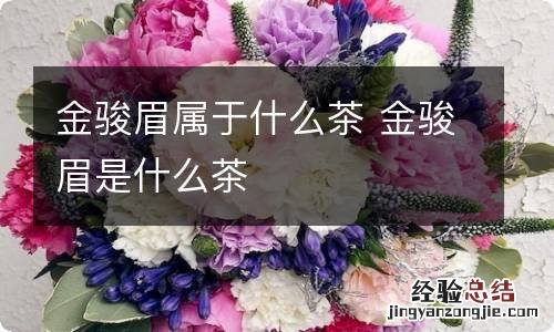 金骏眉属于什么茶 金骏眉是什么茶