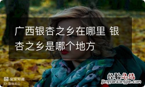 广西银杏之乡在哪里 银杏之乡是哪个地方