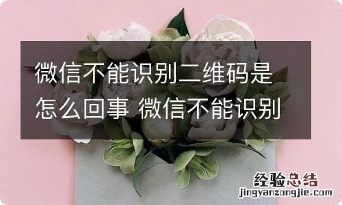 微信不能识别二维码是怎么回事 微信不能识别二维码是怎么了