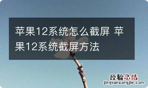 苹果12系统怎么截屏 苹果12系统截屏方法