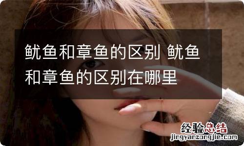 鱿鱼和章鱼的区别 鱿鱼和章鱼的区别在哪里