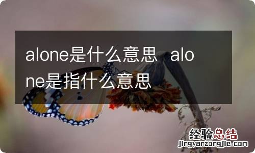 alone是什么意思alone是指什么意思