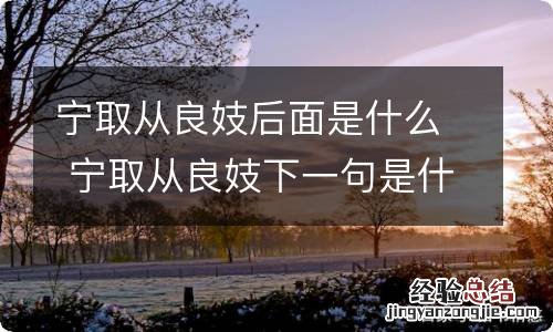 宁取从良妓后面是什么 宁取从良妓下一句是什么