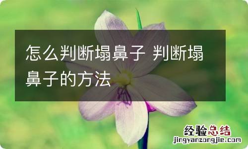 怎么判断塌鼻子 判断塌鼻子的方法