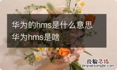 华为的hms是什么意思 华为hms是啥