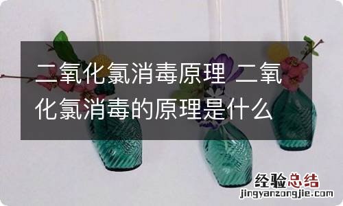 二氧化氯消毒原理 二氧化氯消毒的原理是什么