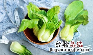 一个新手怎么买菜 适合新手的买菜方法