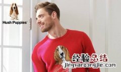 小狗的衣服是什么牌子的 小狗的衣服是什么牌子