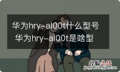 华为hry-al00t什么型号 华为hry-al00t是啥型号