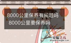 8000公里保养有问题吗 8000公里要保养吗