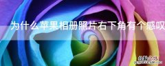 为什么iPhone相册照片右下角有个感叹号