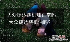 大众捷达烧机油正常吗 大众捷达烧机油吗?