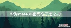 华为mate30忘记手机密码怎么办 华为mate30密码忘了怎么办