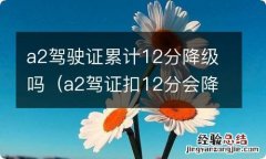 a2驾证扣12分会降级吗 a2驾驶证累计12分降级吗