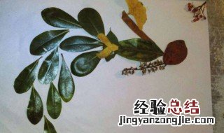 树叶画怎么保存不会干枯 树叶画怎么保存方法不会变干