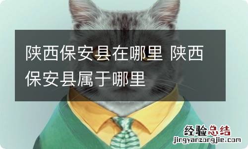 陕西保安县在哪里 陕西保安县属于哪里