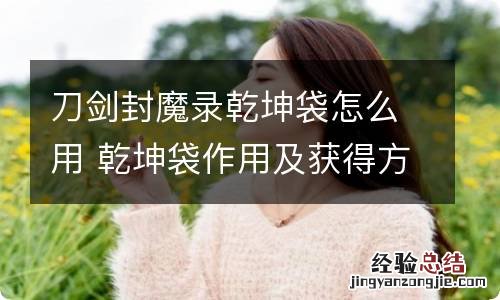 刀剑封魔录乾坤袋怎么用 乾坤袋作用及获得方法介绍