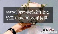 mate30pro手势操作怎么设置 mate30pro手势操作的设置方法