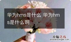 华为hms是什么 华为hms是什么啊