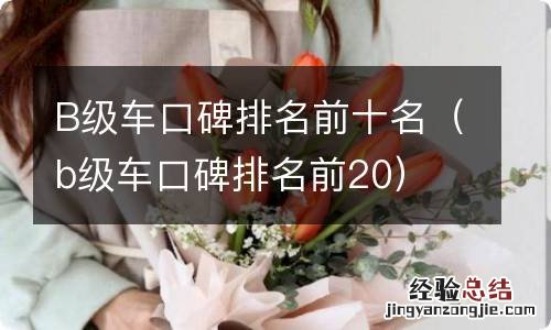 b级车口碑排名前20 B级车口碑排名前十名